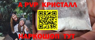 шишки Лесосибирск