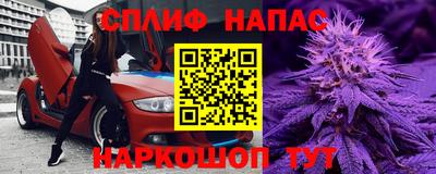 шишки Лесосибирск