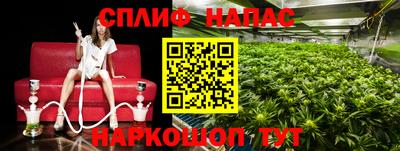 шишки Лесосибирск
