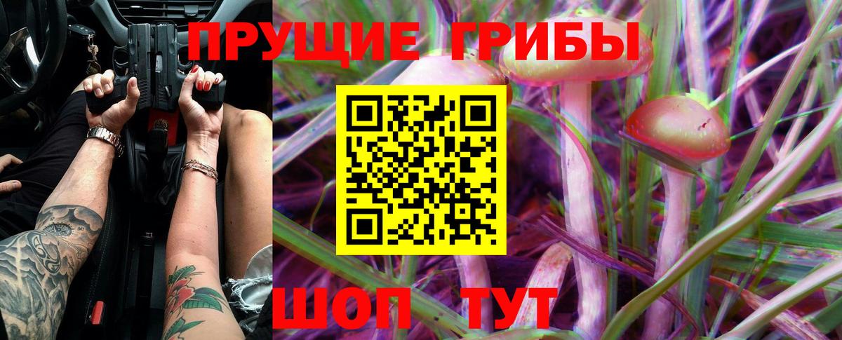 Псилоцибиновые грибы прущие грибы Шахты