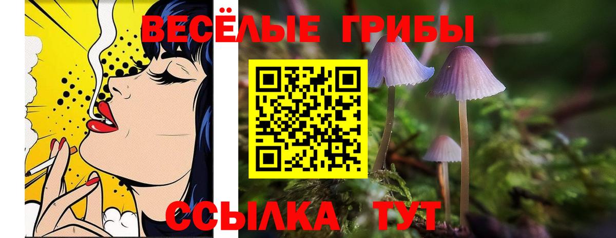 Шахты  Галлюциногенные грибы Psilocybine cubensis  Вход с VPN 